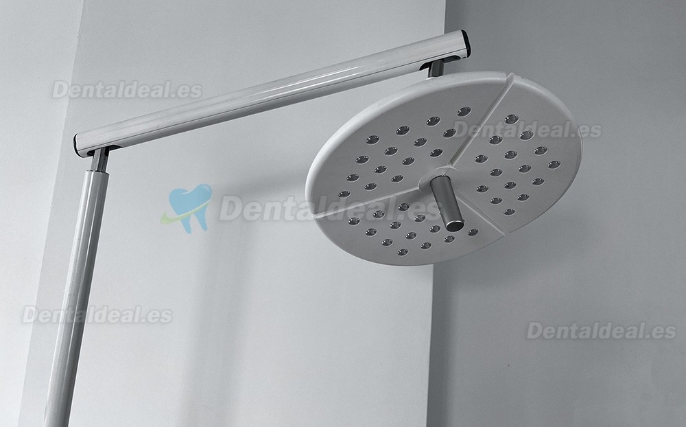 KWS KD-2036L-4 L&aacute;mpara Dental LED M&oacute;vil de Pie 80W con 4 Ruedas